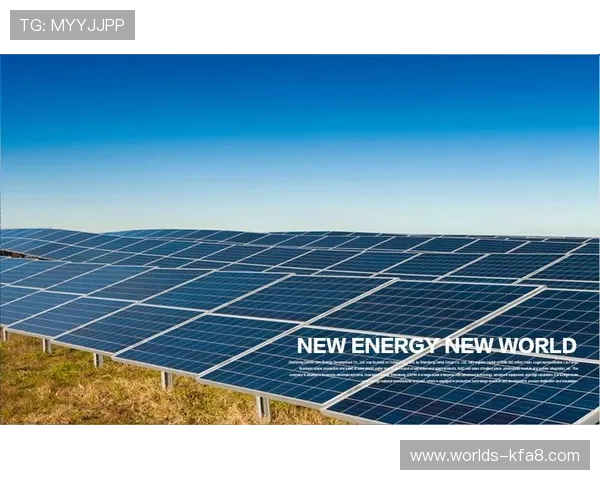 K8凯发数字站:用户评价与平台信誉的全面评估方法 K8凯发数字站:用户评价与平台信誉的全面评估方法